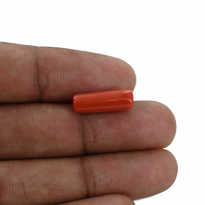 Red Coral (Moonga) - 5.25 Carat
