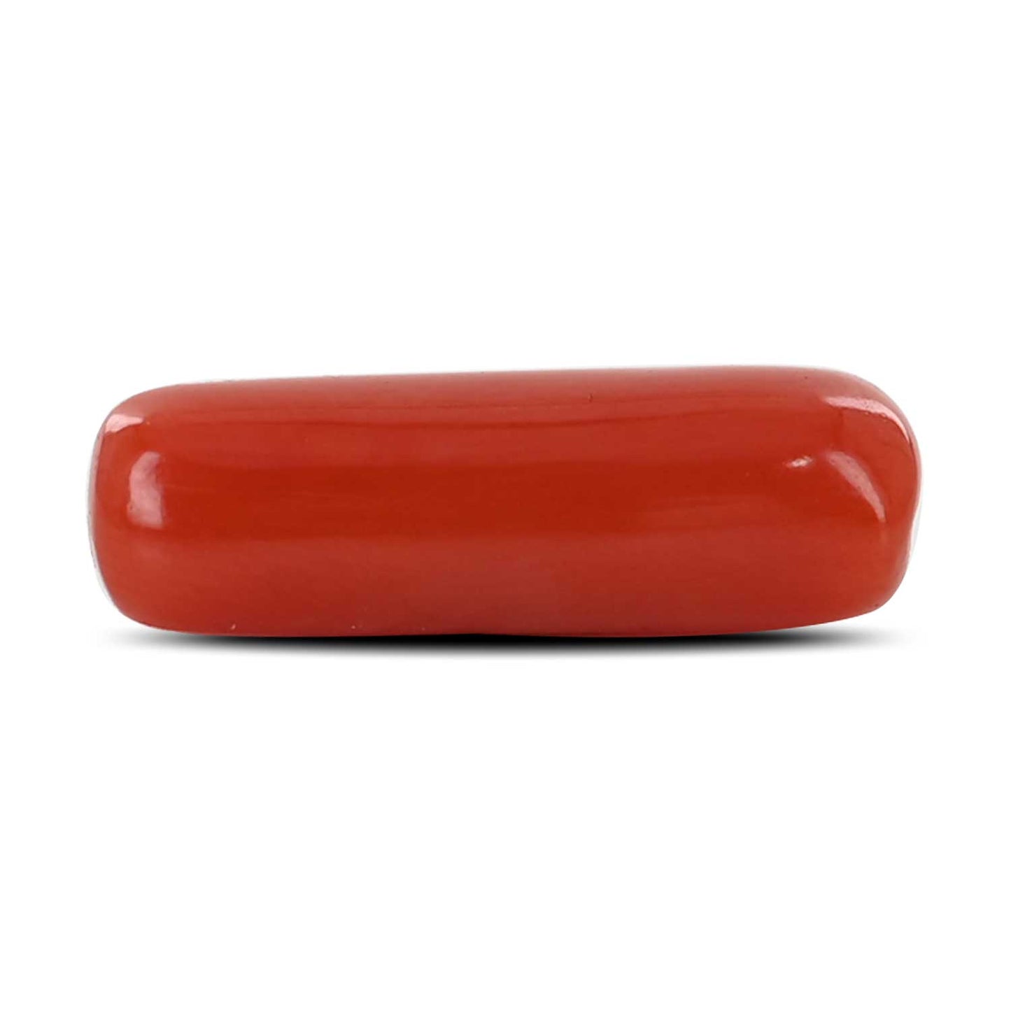 Red Coral (Moonga) - 5.1 Carat
