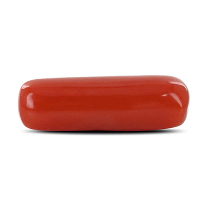 Red Coral (Moonga) - 5.1 Carat