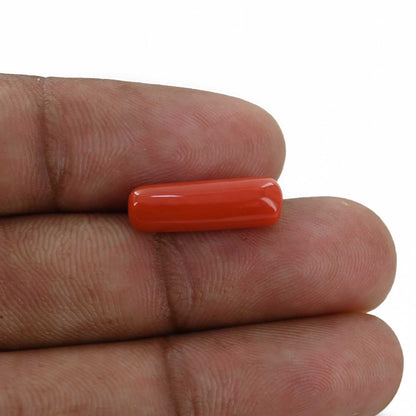 Red Coral (Moonga) - 5.1 Carat