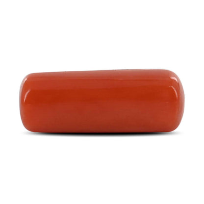 Red Coral (Moonga) - 5.27 Carat