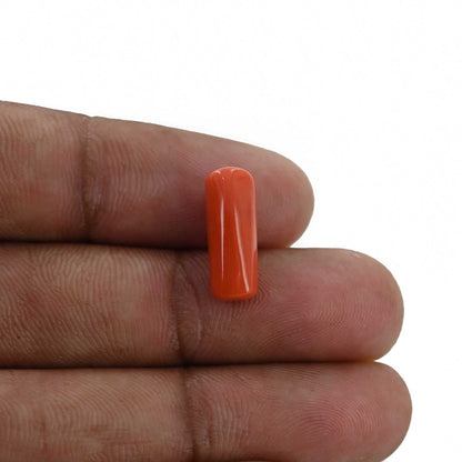 Red Coral (Moonga) - 5.27 Carat