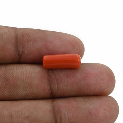 Red Coral (Moonga) - 5.27 Carat