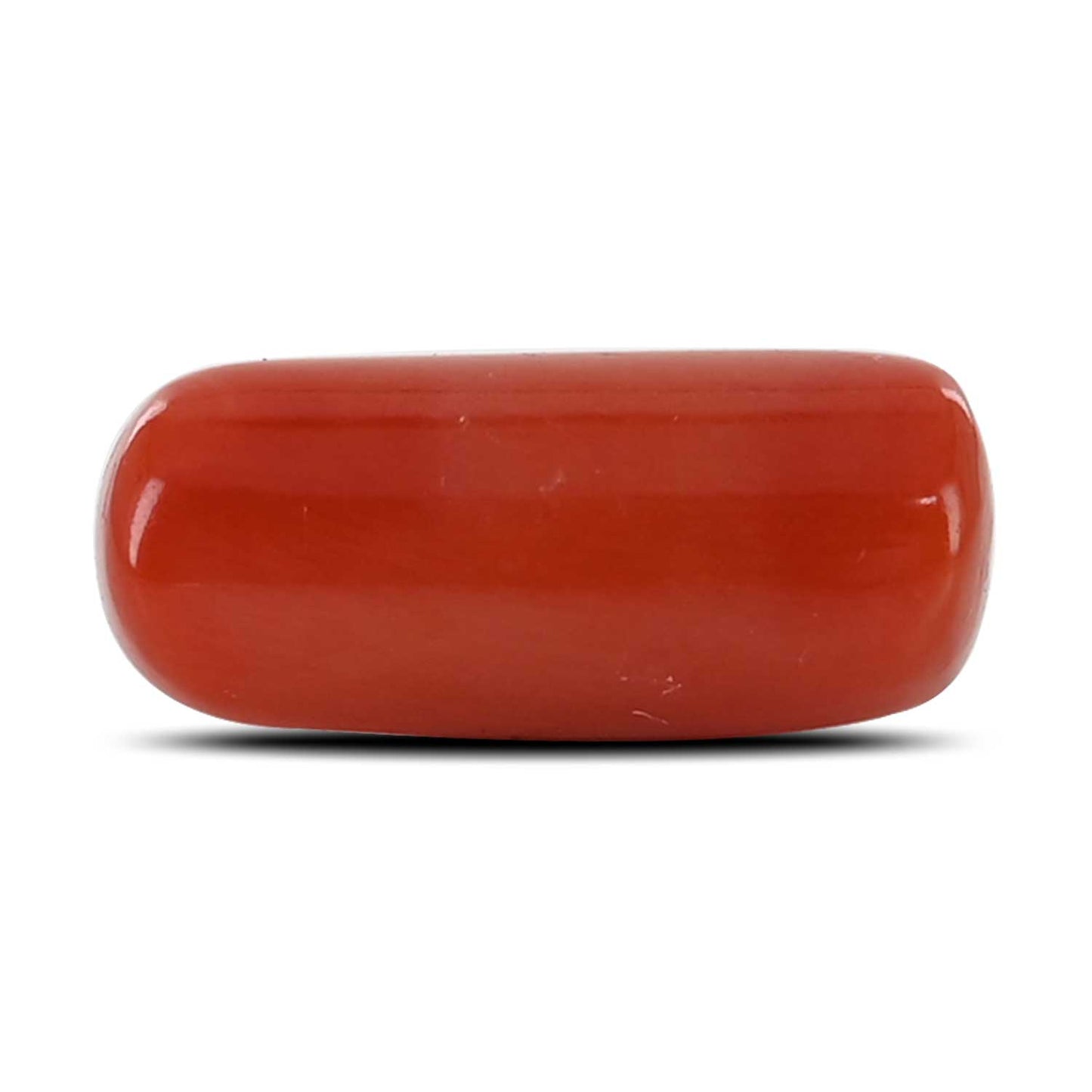 Red Coral (Moonga) - 5.25 Carat