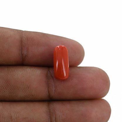 Red Coral (Moonga) - 5.25 Carat