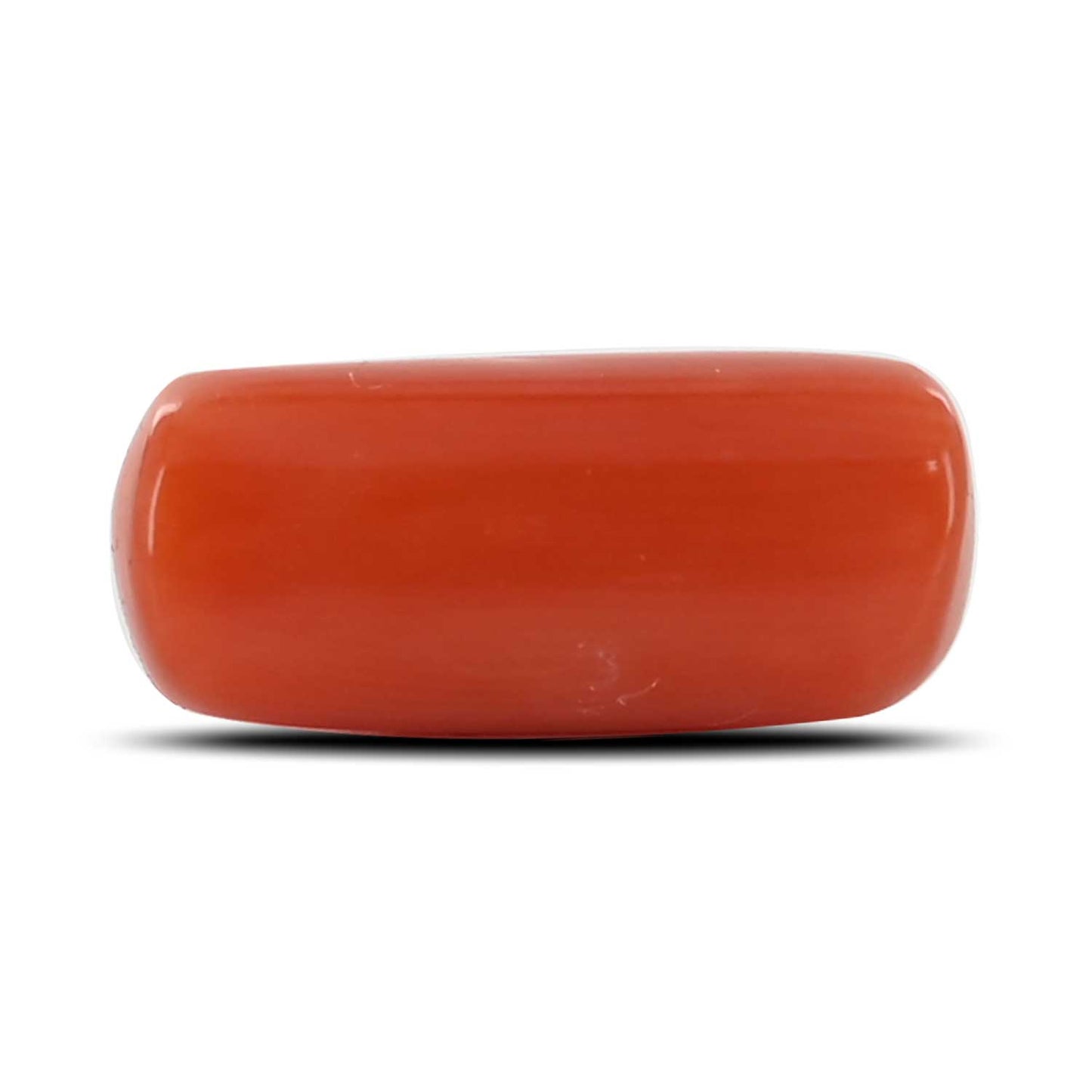 Red Coral (Moonga) - 5.21 Carat