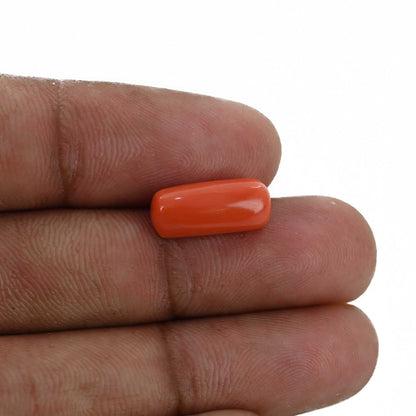 Red Coral (Moonga) - 5.21 Carat