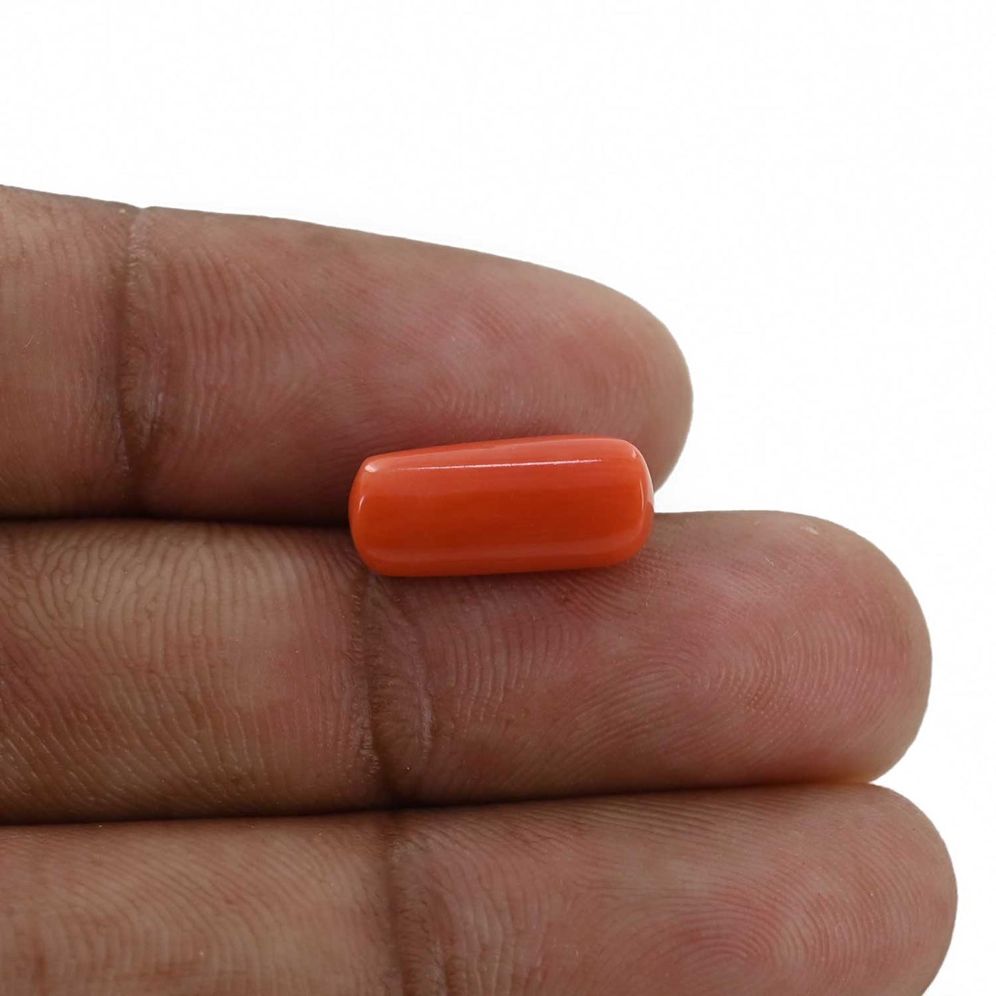 Red Coral (Moonga) - 5.21 Carat