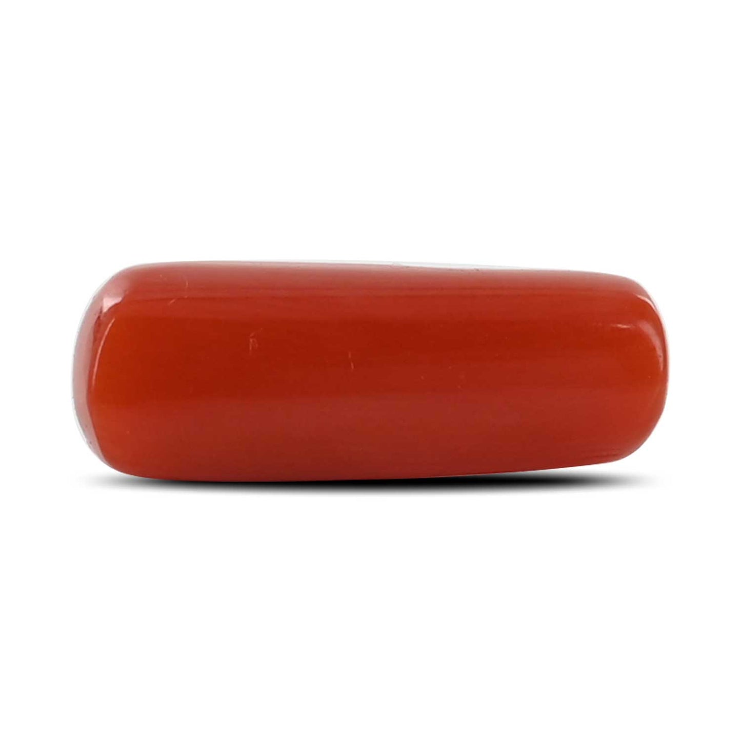 Red Coral (Moonga) - 5.4 Carat