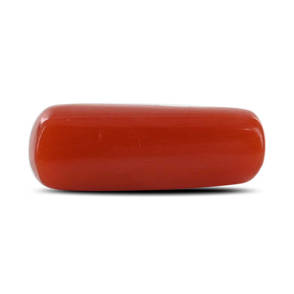 Red Coral (Moonga) - 5.4 Carat