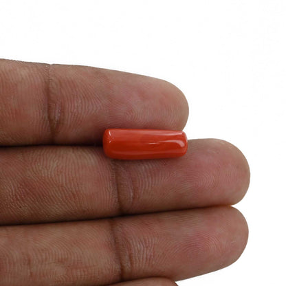 Red Coral (Moonga) - 5.4 Carat