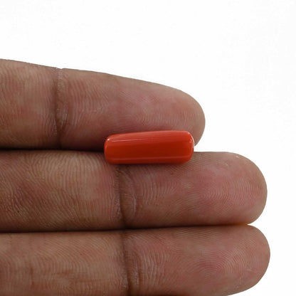 Red Coral (Moonga) - 5.4 Carat