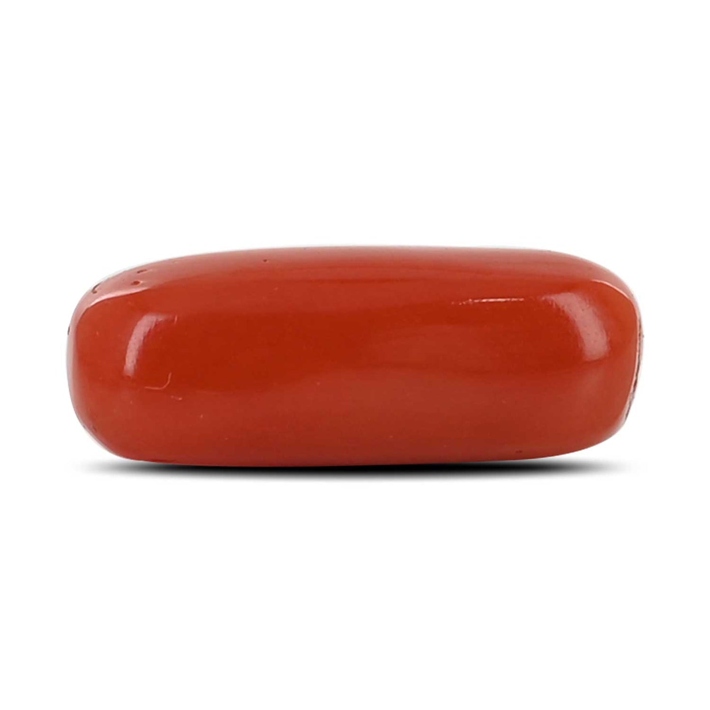 Red Coral (Moonga) - 4.78 Carat