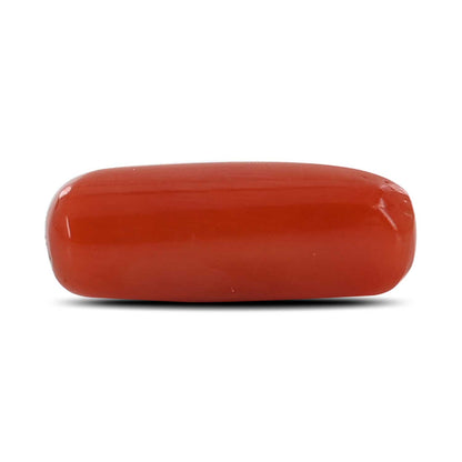 Red Coral (Moonga) - 4.78 Carat