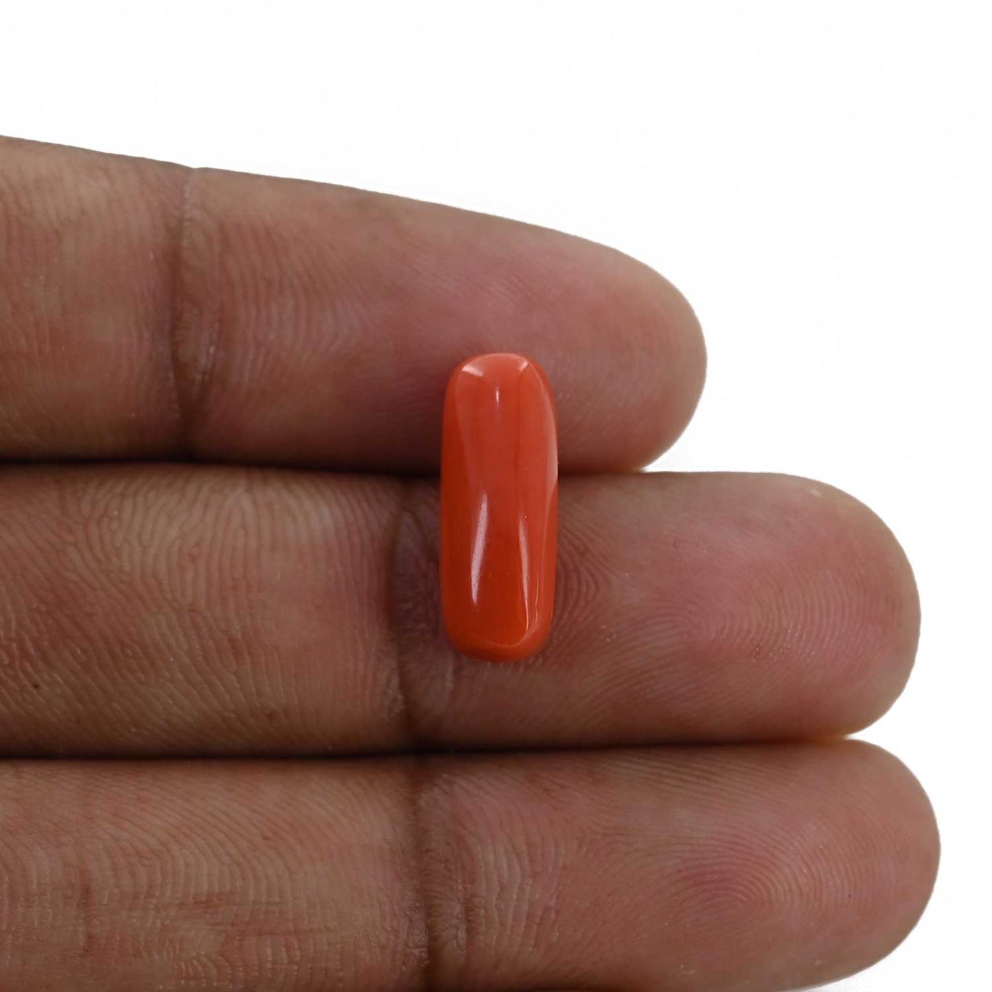 Red Coral (Moonga) - 4.78 Carat