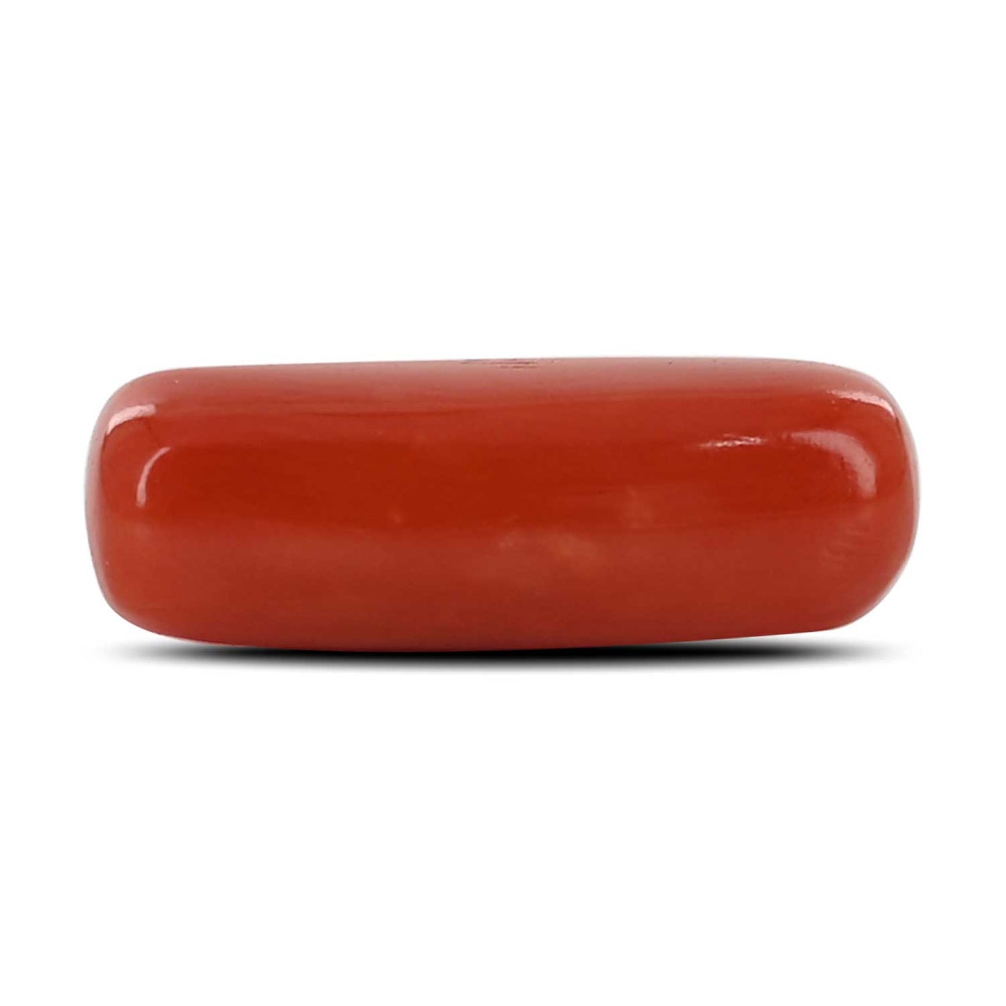 Red Coral (Moonga) - 4.74 Carat