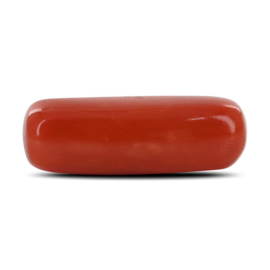 Red Coral (Moonga) - 4.74 Carat