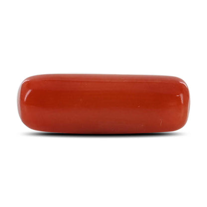 Red Coral (Moonga) - 4.74 Carat
