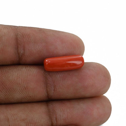 Red Coral (Moonga) - 4.74 Carat