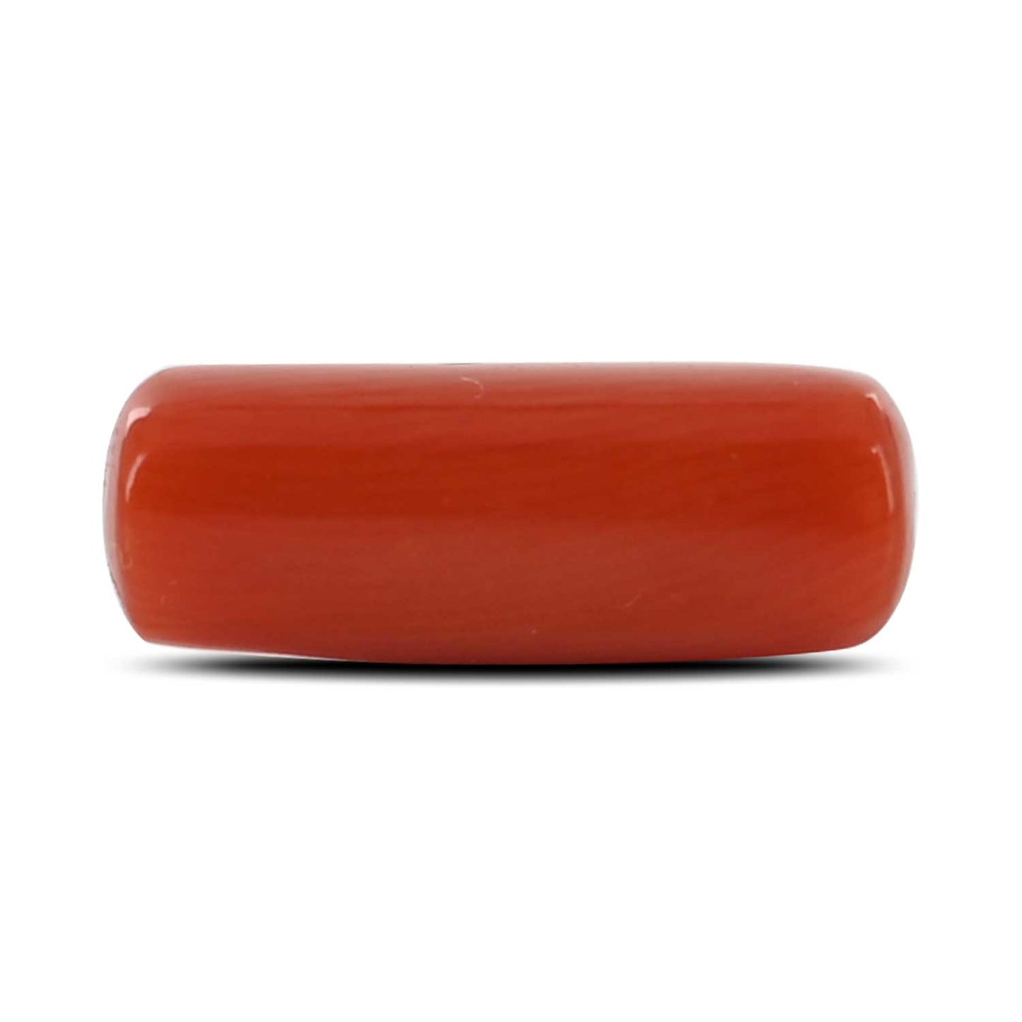 Red Coral (Moonga) - 4.84 Carat