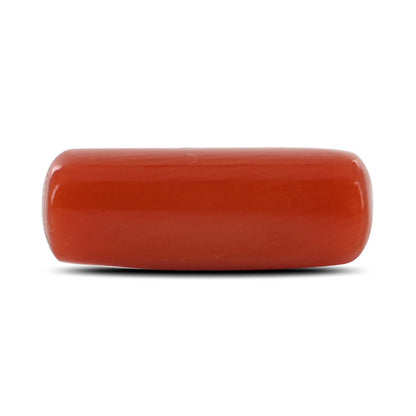 Red Coral (Moonga) - 4.84 Carat