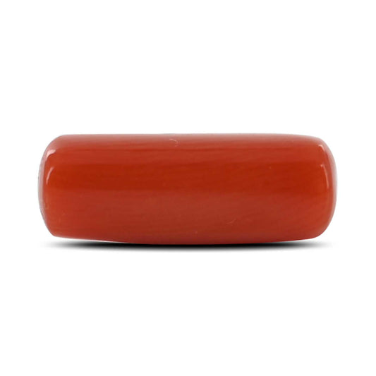 Red Coral (Moonga) - 4.84 Carat