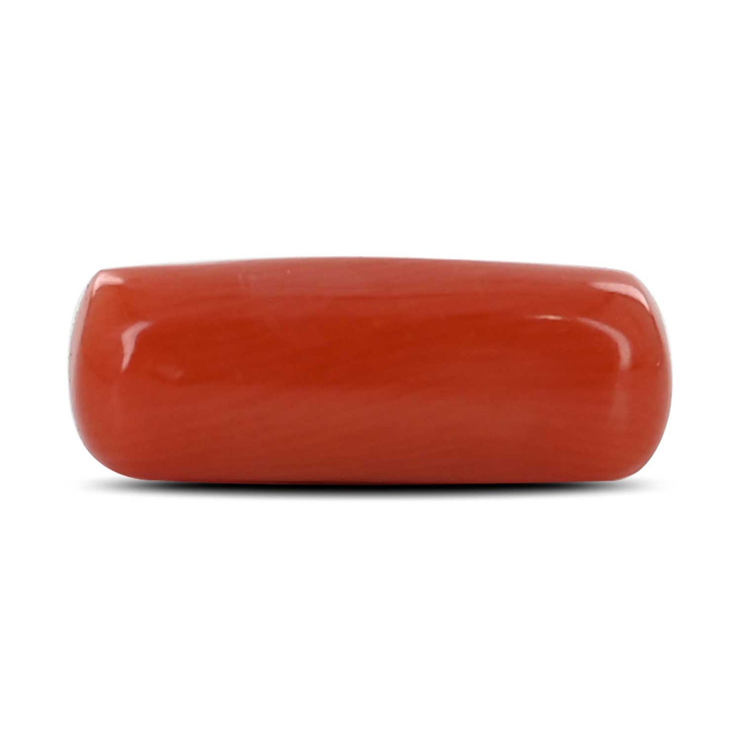 Red Coral (Moonga) - 4.84 Carat