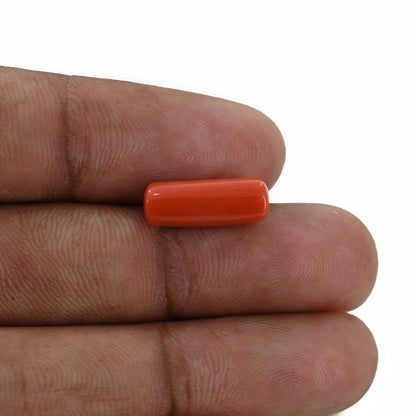 Red Coral (Moonga) - 4.84 Carat