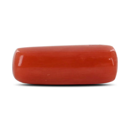 Red Coral (Moonga) - 4.77 Carat