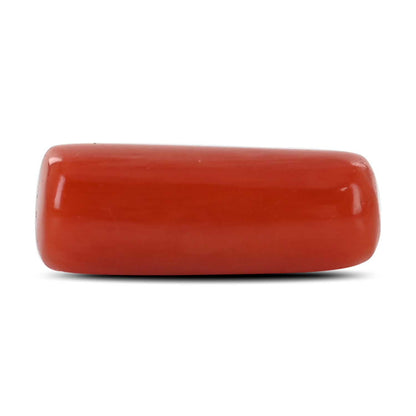 Red Coral (Moonga) - 4.77 Carat