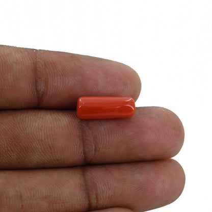 Red Coral (Moonga) - 4.77 Carat