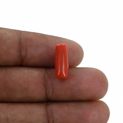 Red Coral (Moonga) - 4.77 Carat
