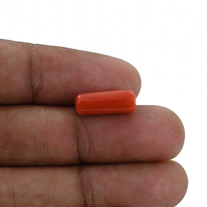 Red Coral (Moonga) - 4.77 Carat