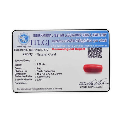 Red Coral (Moonga) - 4.77 Carat