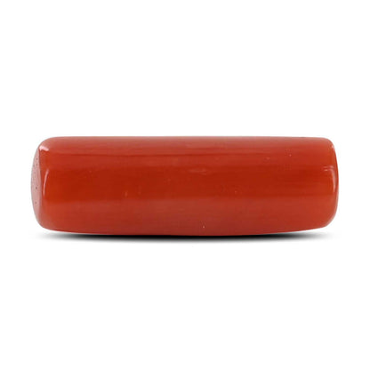 Red Coral (Moonga) - 5 Carat