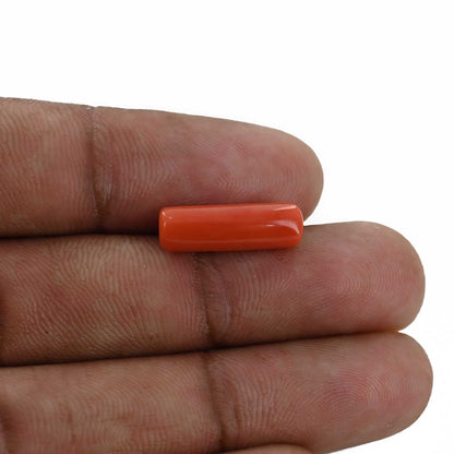 Red Coral (Moonga) - 5 Carat