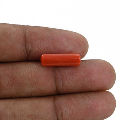 Red Coral (Moonga) - 5 Carat