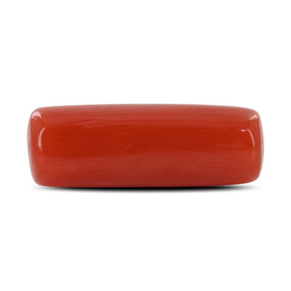 Red Coral (Moonga) - 5.3 Carat