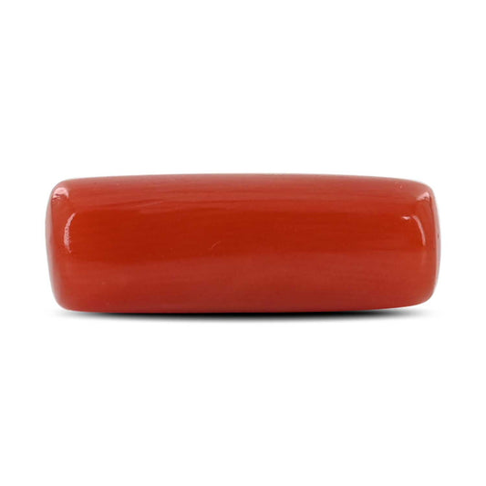 Red Coral (Moonga) - 5.3 Carat