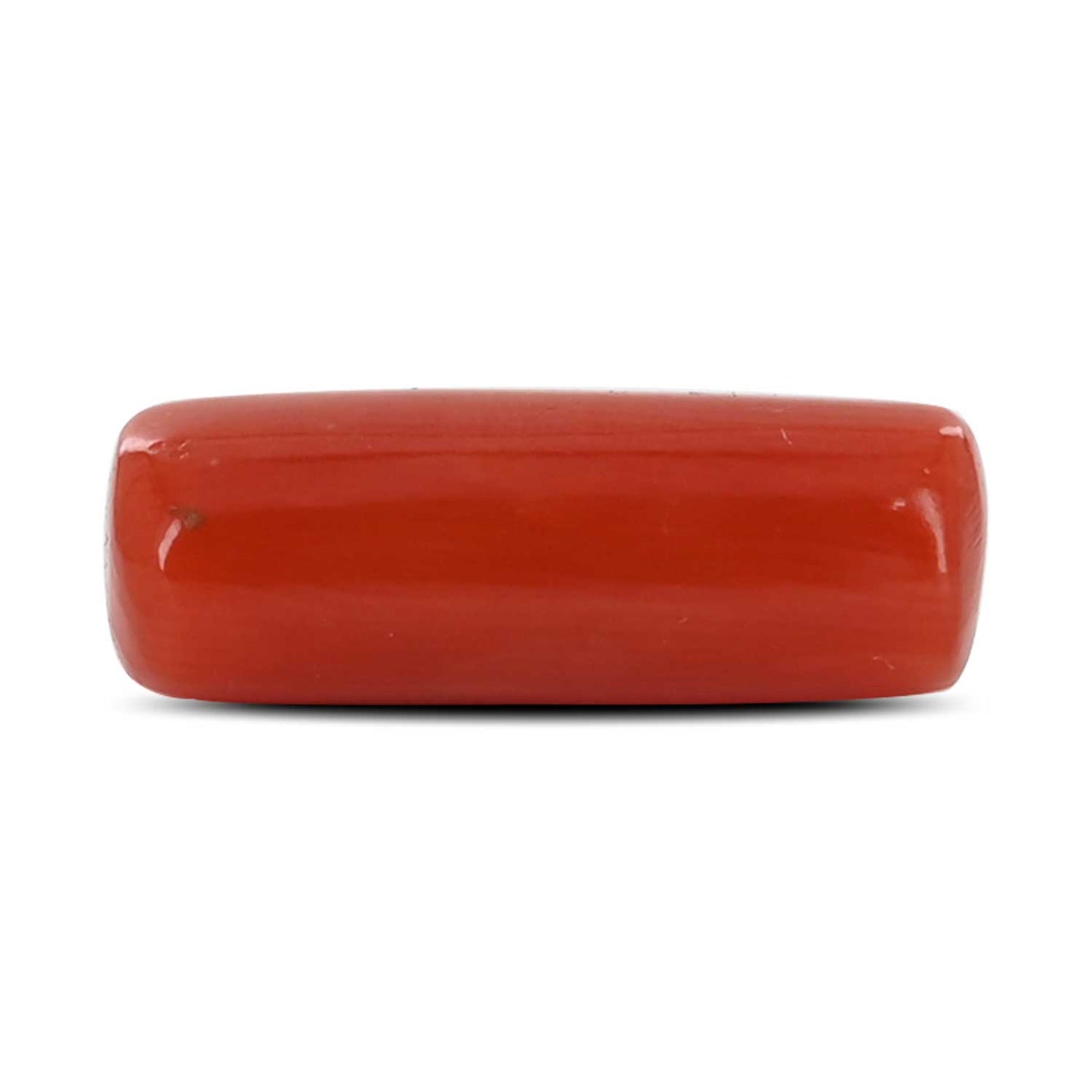 Red Coral (Moonga) - 5.3 Carat
