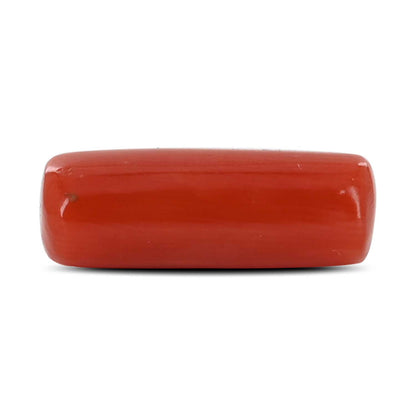Red Coral (Moonga) - 5.3 Carat