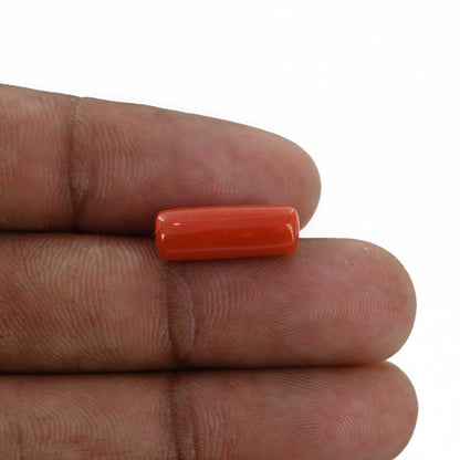 Red Coral (Moonga) - 5.3 Carat