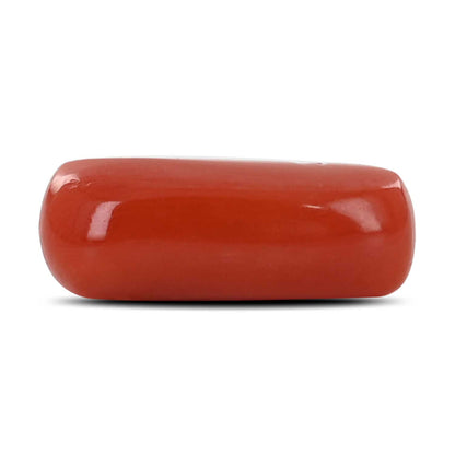 Red Coral (Moonga) - 5.32 Carat