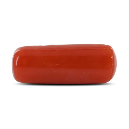 Red Coral (Moonga) - 5.32 Carat