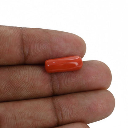 Red Coral (Moonga) - 5.32 Carat