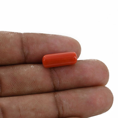 Red Coral (Moonga) - 5.32 Carat