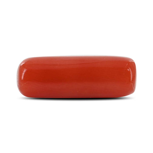 Red Coral (Moonga) - 4.71 Carat