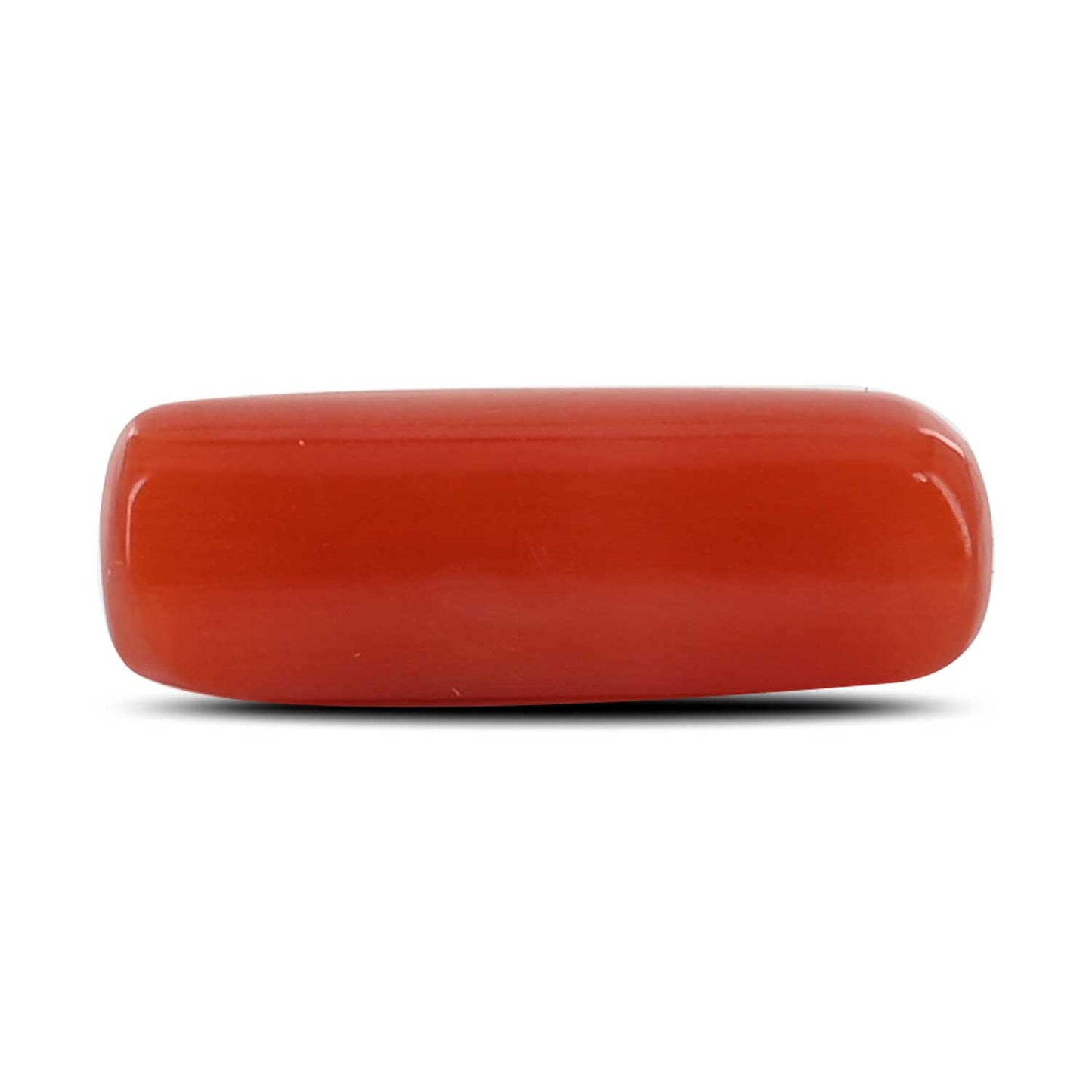 Red Coral (Moonga) - 4.71 Carat