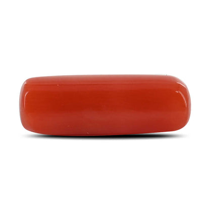 Red Coral (Moonga) - 4.71 Carat