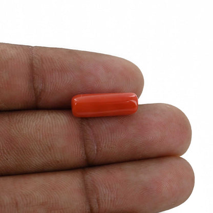 Red Coral (Moonga) - 4.71 Carat